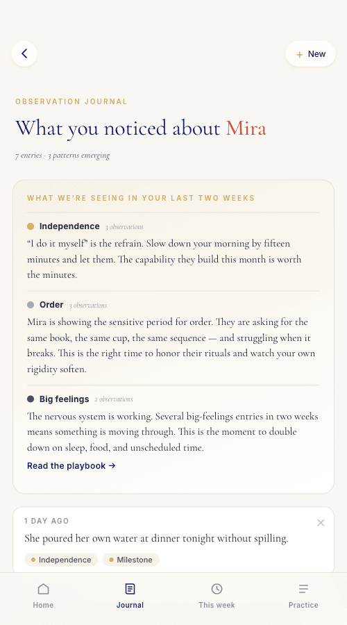 Add an observation. The app finds patterns and tells you what they mean.